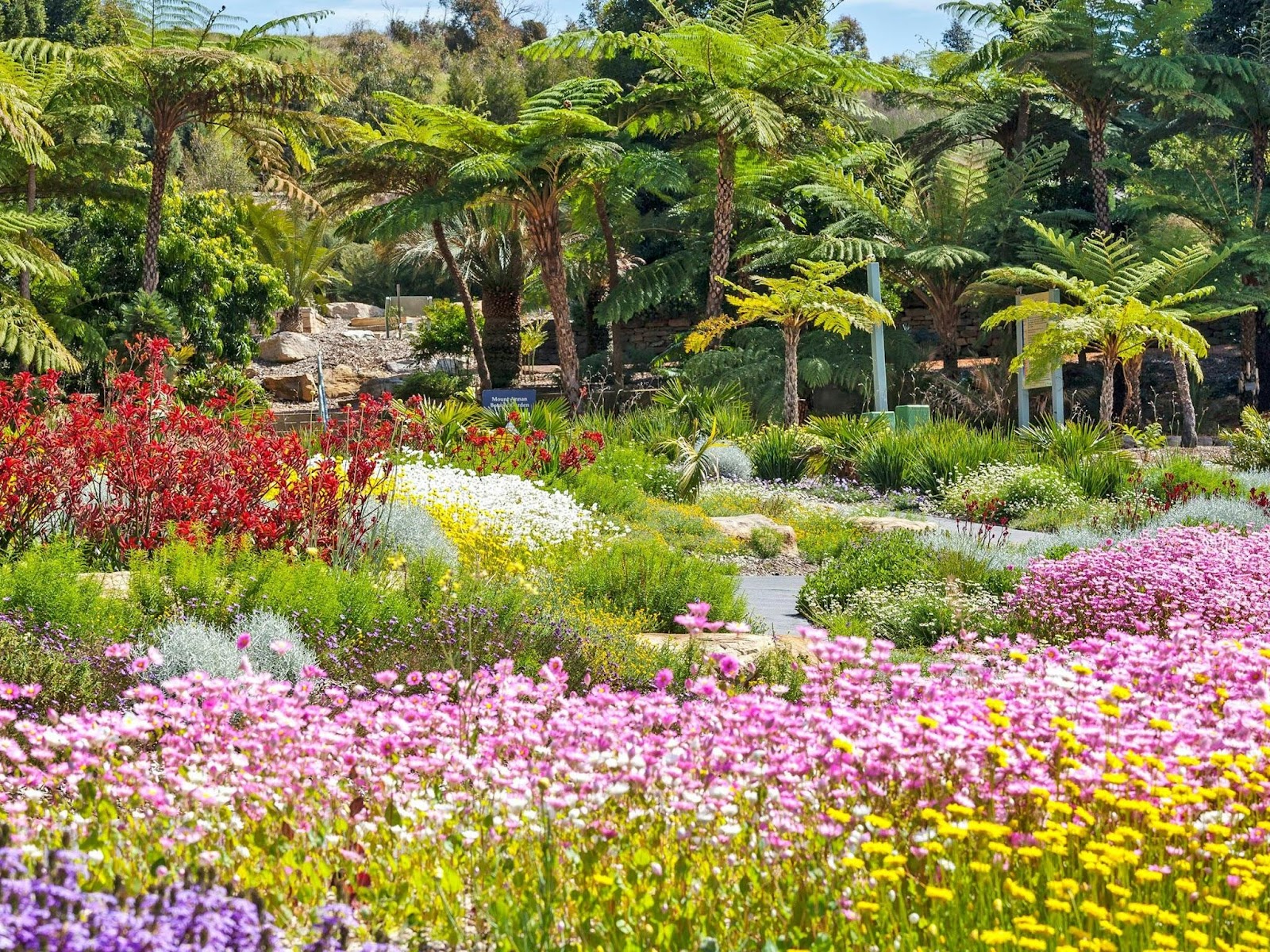 things to do in western sydney